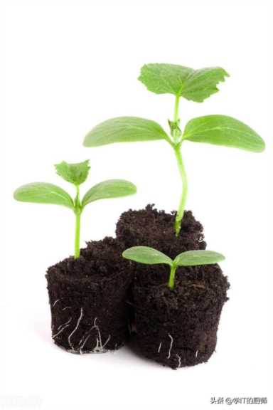 腐殖土加工厂发展趋势,蚯蚓养殖失败的经历插图3 农村创业新宠:开设腐殖土加工厂,小投资年赚100万!