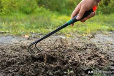 腐殖土加工厂发展趋势,蚯蚓养殖失败的经历插图5 农村创业新宠:开设腐殖土加工厂,小投资年赚100万!