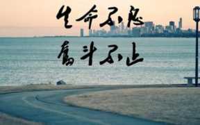幼儿加盟项目,从优秀走向卓越的意义