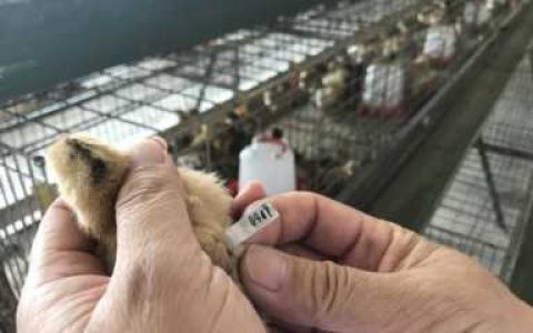 各种知名小吃加盟店,山西北部地方名特产的主要食材有哪些