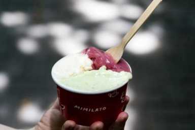 冰淇淋车图片,手工制作的纯正意式冰淇淋怎么做插图17 这10款冰淇淋天花板,今夏必吃