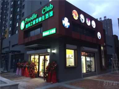 2023年宠物店加盟排行榜，解锁创业新思路