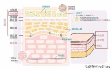 3款卸妆油测评：Fancl最便宜卸得最干净！但建议大多数人不要用