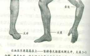 太溪的准确位置图和作用，按解溪治脑供血不足方法