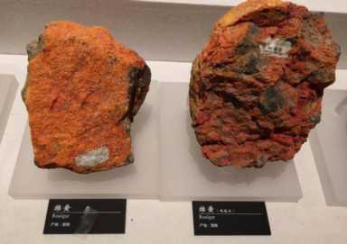 蛇的软肋是什么？真的不是雄黄粉，两场实验告诉你答案