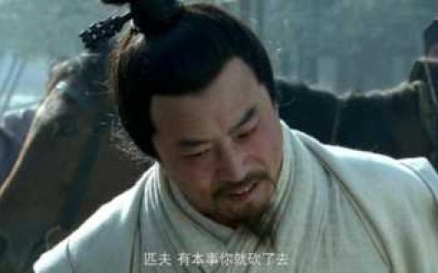 许攸简介，许攸为什么被许褚杀了