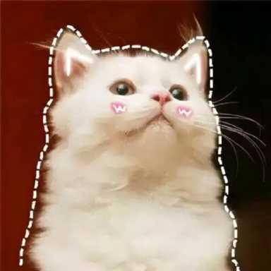 化妆水是什么,化妆水的种类有哪些插图5 化妆水的种类都还没有搞清楚 你看我还有机会吗?