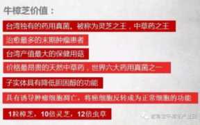 牛樟芝功效与作用，牛樟芝什么人不能吃