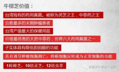 牛樟芝功效与作用，牛樟芝什么人不能吃