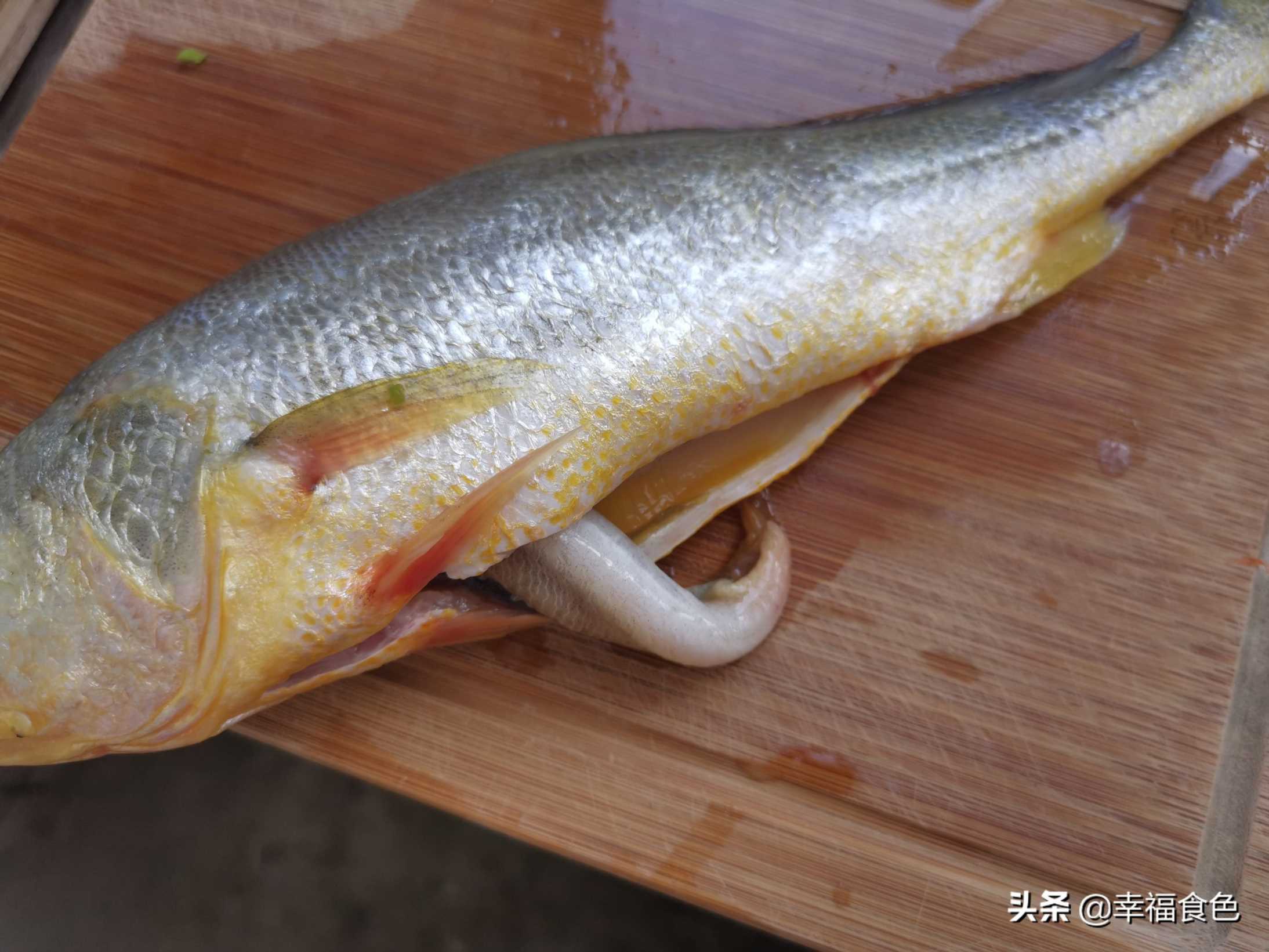 怎样做黄花鱼好吃，清蒸黄花鱼的家常做法窍门