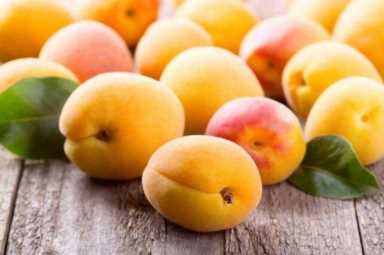 杏是补钙最佳水果，但医生却说：这类人真的别再碰了，有你吗