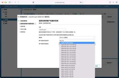 VMware ESXi 8.0c macOS Unlocker & OEM BIOS (标准版和厂商定制版)