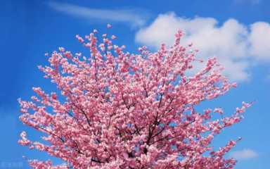 22个护肤小妙招