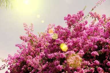 22个护肤小妙招