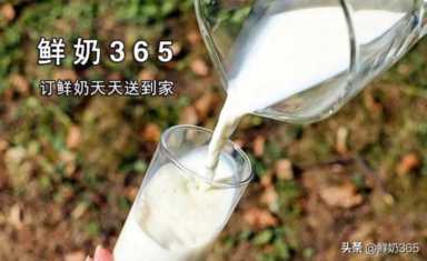 牛奶和奶粉哪个好,喝纯牛奶和奶粉哪个更好插图3 牛奶、鲜牛奶和奶粉哪个更好