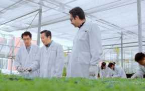 青蒿素抗肿瘤最新消息，青蒿素真的可以抗肿瘤吗