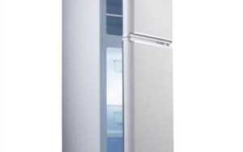 申花冰箱怎么样，双开门冰箱最大多少升