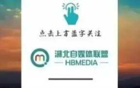 茶颜悦色,茶颜悦色的美好感受