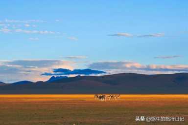 中国四大无人区，有许多人成功穿越，也有人永远留下