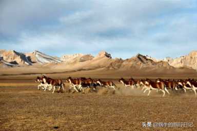 中国四大无人区，有许多人成功穿越，也有人永远留下