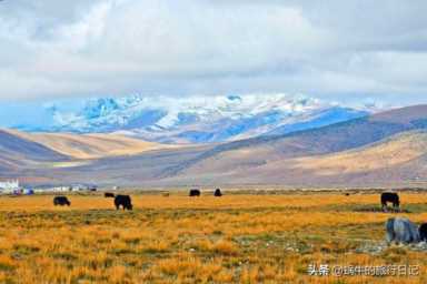 中国四大无人区，有许多人成功穿越，也有人永远留下