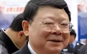 重庆打黑文强 ，张君最后在哪里被抓