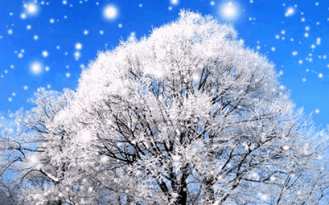 大团圆6血缘关系短文阅读