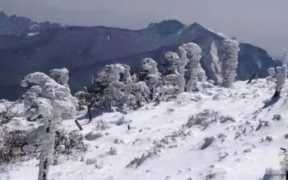 如何应对北京雾霾危机，如何治理和消除雾霾