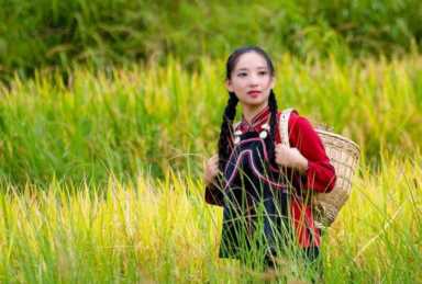 口字里面一个女读什么，汉字的演变历程思维导图