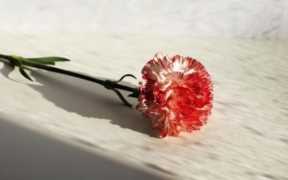 你现在哪里我每天都在想你歌词