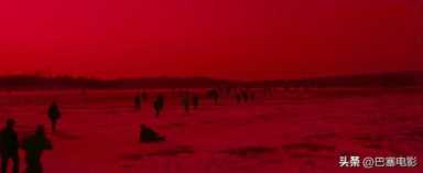 Hello树先生票房票房统计分析，hello树先生王宝强演技巅峰