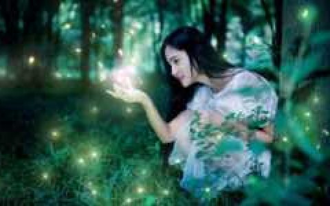 绍兴最近的周边萤火虫观赏地方，什么时候是湘湖萤火虫的最佳观赏季节