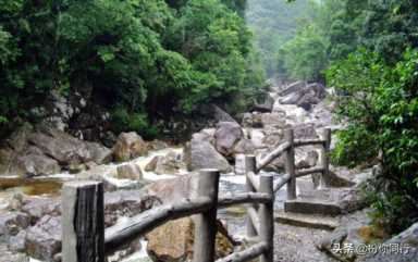 防城港社区 ，十万大山国家森林公园旅游攻略