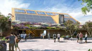 evelyn lin 种子 你了解Evelyn Lin吗