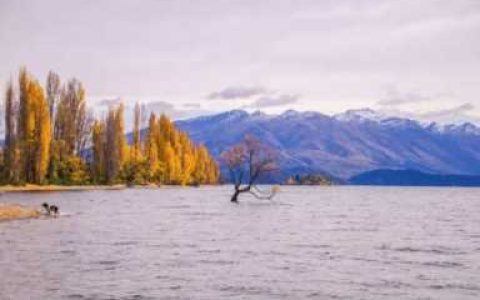 落花流水听杨柳岸，柳永的词以什么为主要描写对象