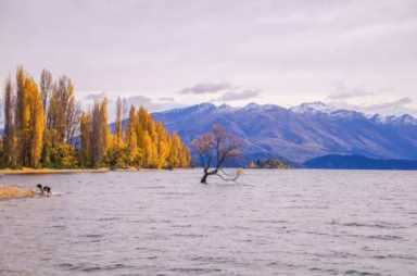 落花流水听杨柳岸，柳永的词以什么为主要描写对象