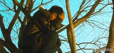 Hello树先生票房票房统计分析，hello树先生王宝强演技巅峰