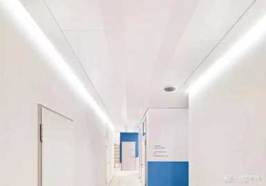 evelyn lin 种子 你了解Evelyn Lin吗