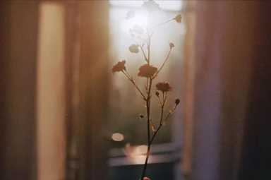 浴血冰霜征服者缰绳，华夏民族特有的文字艺术