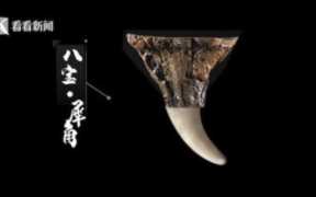 犀牛角杯 你有一个犀牛角杯吗