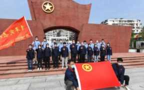 中国共青团团内统计公报发布