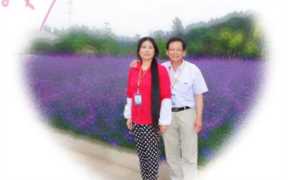 夏天小爸爸演员表演经历