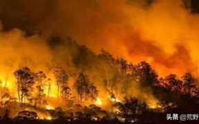 澳大利亚山火发生的原因及影响