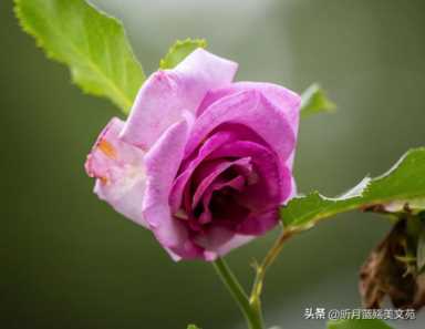 你现在哪里我每天都在想你歌词