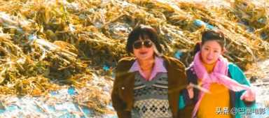 Hello树先生票房票房统计分析，hello树先生王宝强演技巅峰