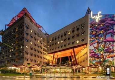 evelyn lin 种子 你了解Evelyn Lin吗