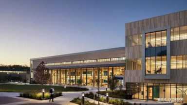 evelyn lin 种子 你了解Evelyn Lin吗