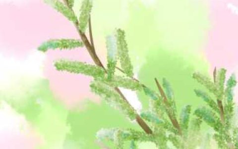春草刘敞，主角叫墨霆轩的小说