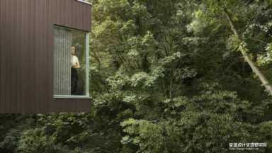 evelyn lin 种子 你了解Evelyn Lin吗