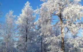 新会有线视讯宽带网，江门广电网络宽带套餐